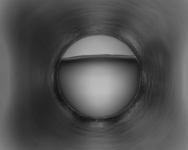 X0000095550404200712140939