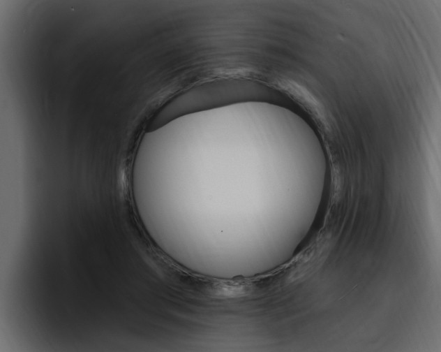 X0000095550405200712140939