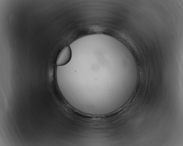 X0000095550406200712140939