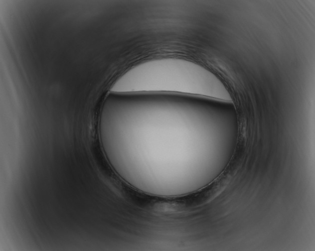 X0000095550408200712140939