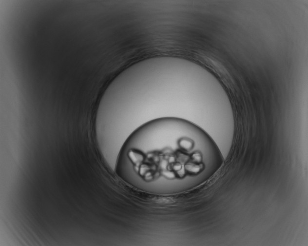 X0000095550409200712140939
