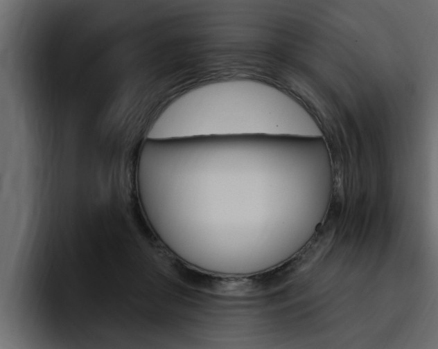 X0000095550410200712140939
