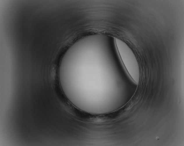 X0000095550412200712140939