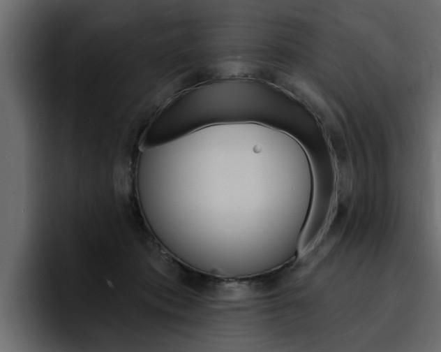 X0000095550413200712140939
