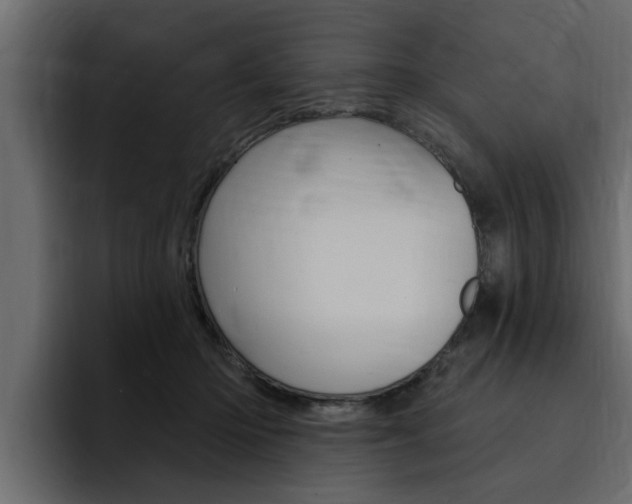 X0000095550414200712140939