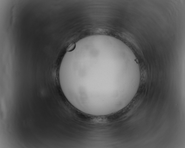 X0000095550415200712140939
