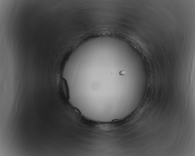 X0000095550417200712140939
