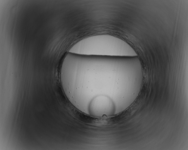 X0000095550418200712140939