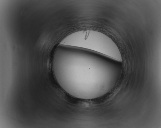 X0000095550420200712140939