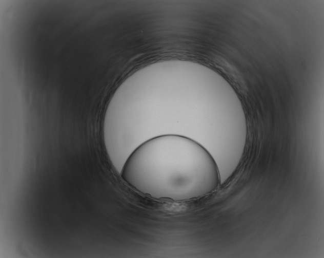 X0000095550421200712140939