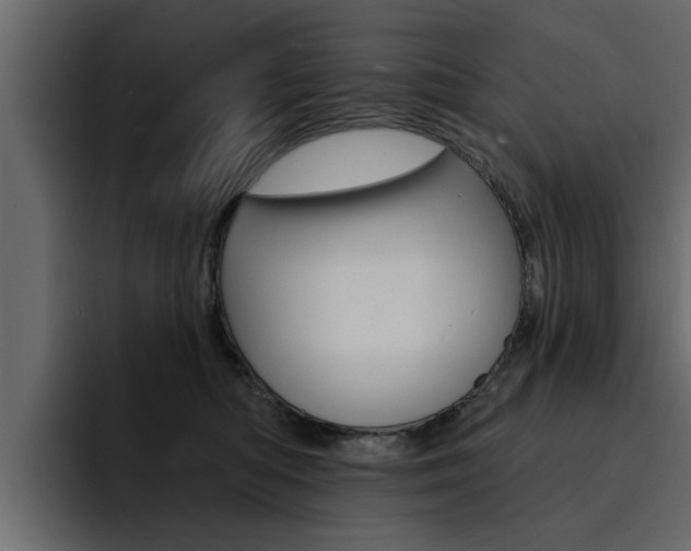 X0000095550422200712140939