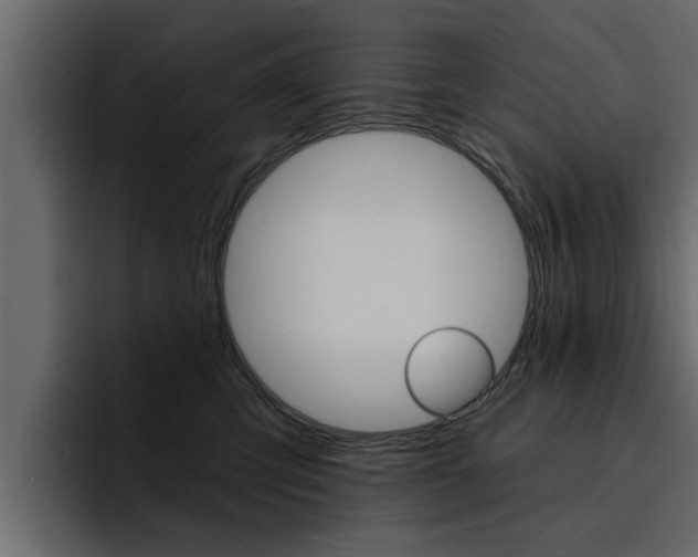 X0000095550423200712140939