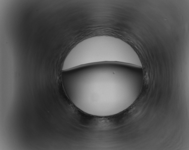 X0000095550424200712140939