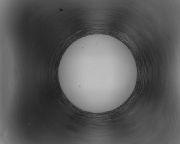 X0000095550425200712140939