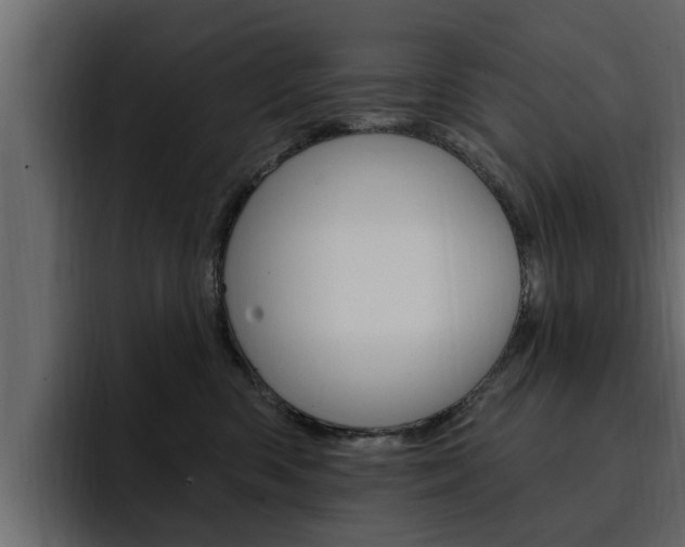 X0000095550426200712140939