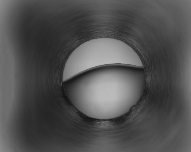 X0000095550428200712140939