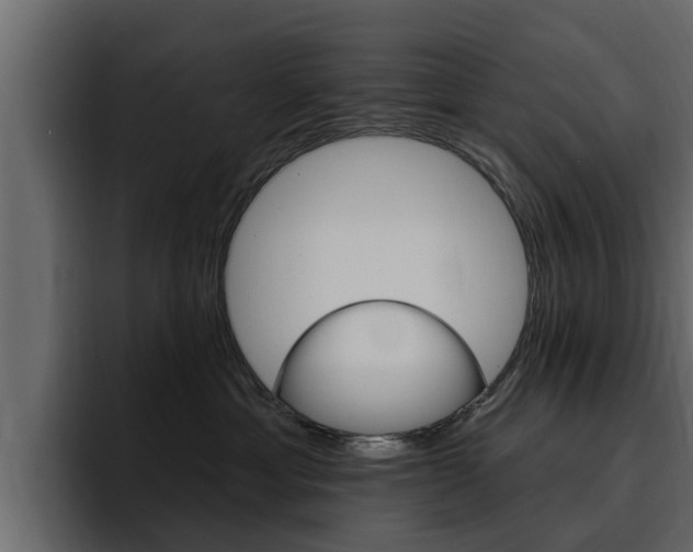 X0000095550429200712140939