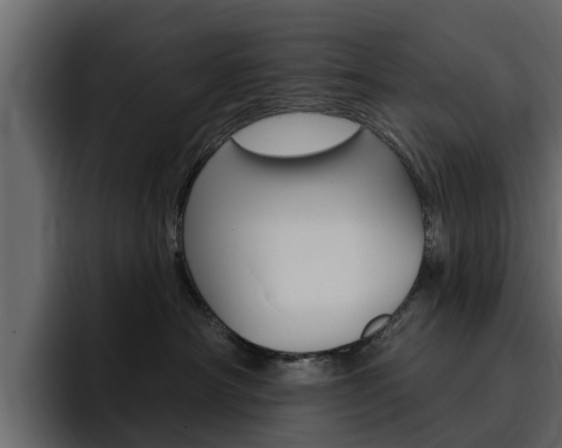 X0000095550430200712140939