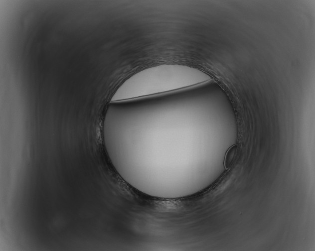 X0000095550432200712140939