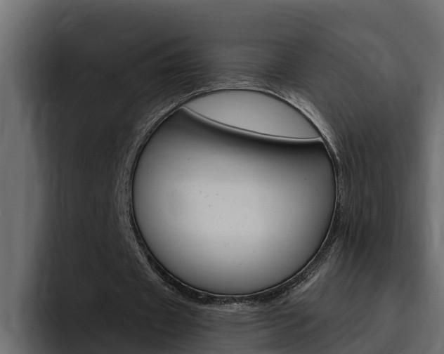 X0000095550433200712140938