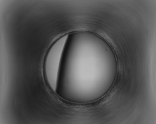 X0000095550434200712140938