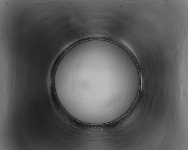 X0000095550435200712140938