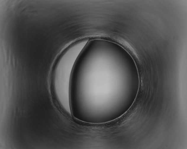 X0000095550436200712140938
