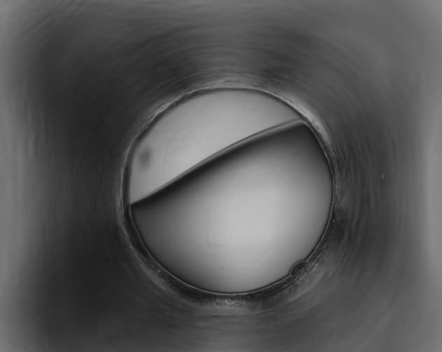 X0000095550437200712140938