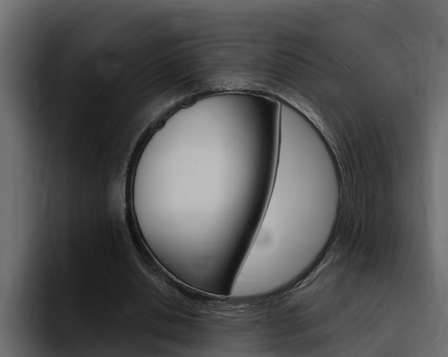 X0000095550438200712140938