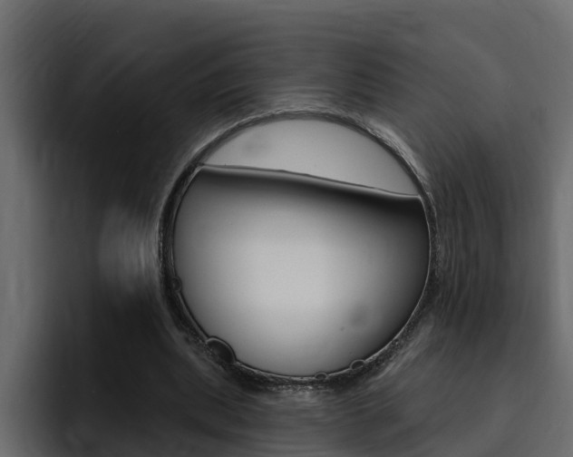 X0000095550439200712140938