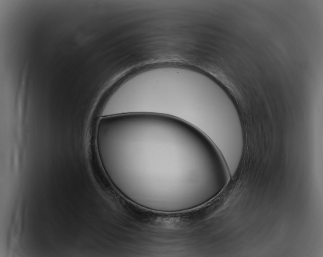 X0000095550440200712140938