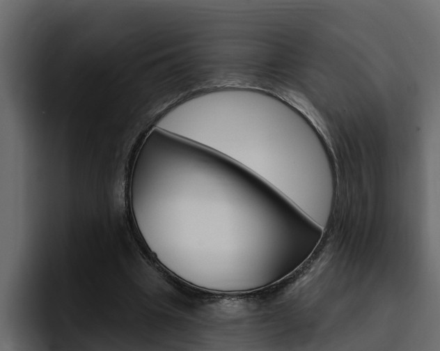 X0000095550441200712140938