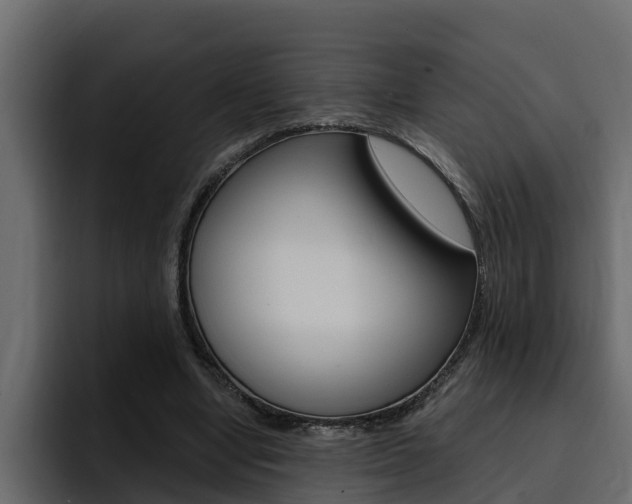 X0000095550442200712140938