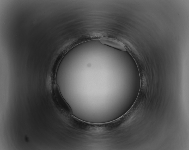 X0000095550444200712140938