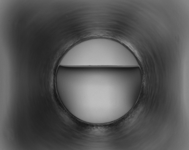 X0000095550445200712140938