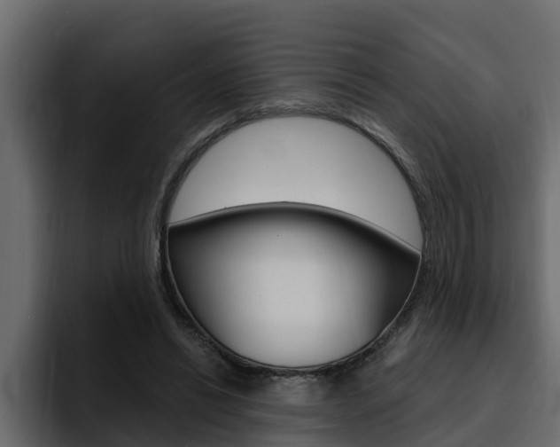 X0000095550446200712140938