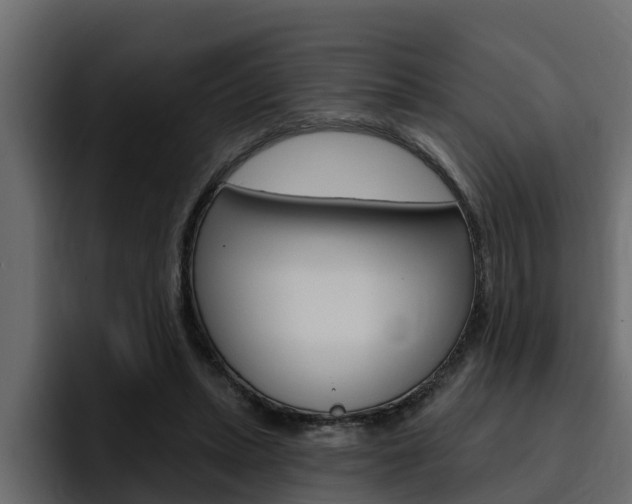 X0000095550447200712140939