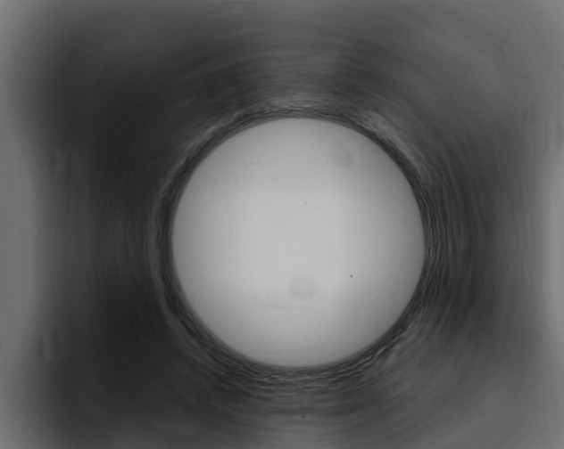 X0000095550448200712140939