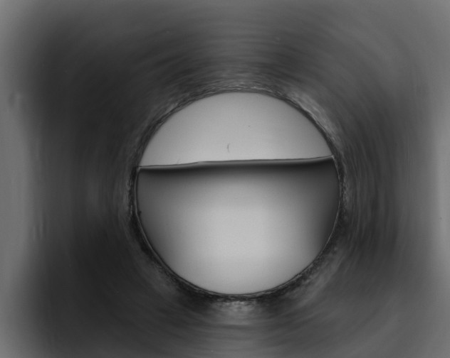 X0000095550449200712140939
