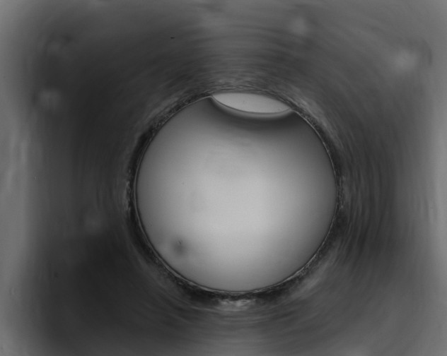 X0000095550450200712140939