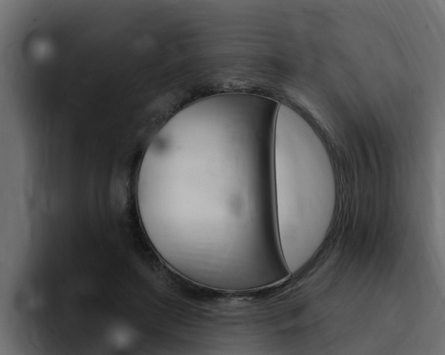 X0000095550451200712140939