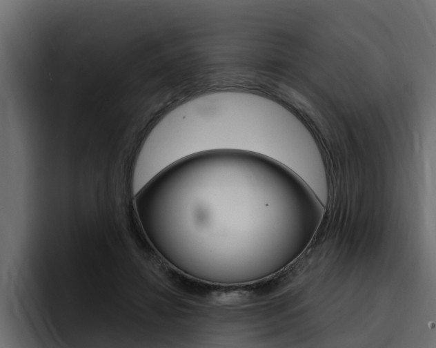X0000095550452200712140939