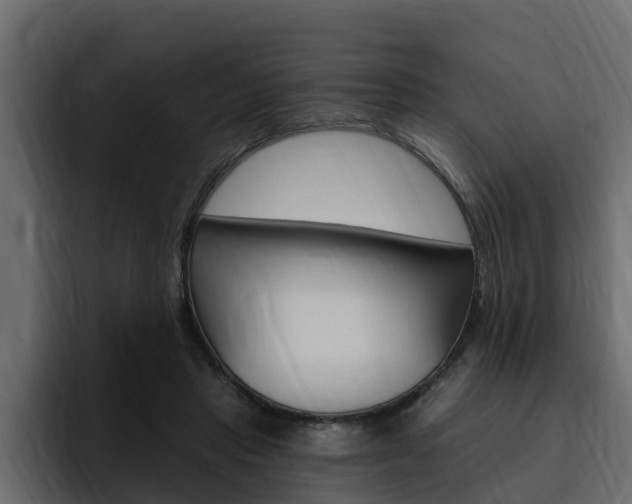 X0000095550453200712140939
