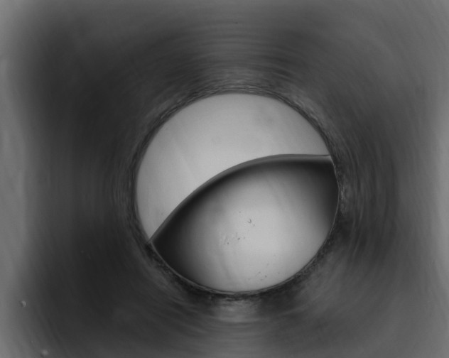X0000095550454200712140939
