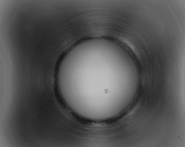 X0000095550455200712140939