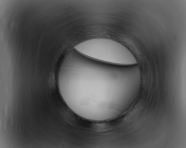 X0000095550457200712140939