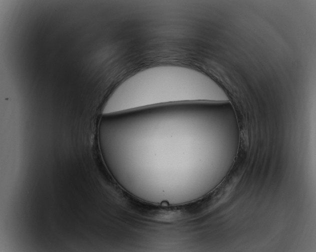 X0000095550458200712140939