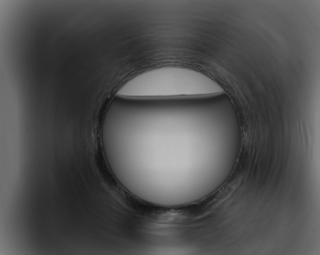 X0000095550460200712140939
