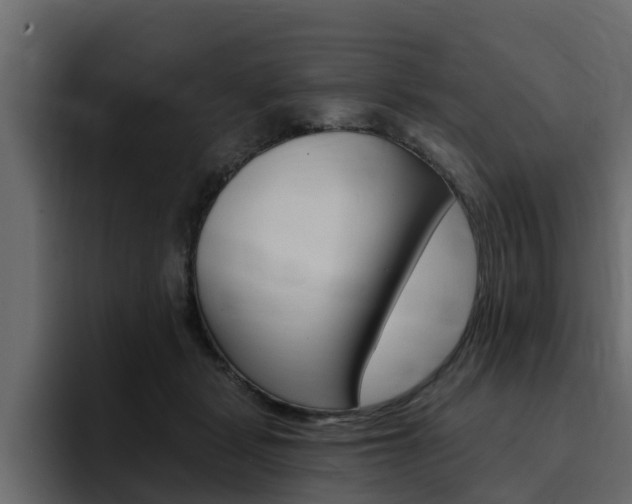X0000095550461200712140939