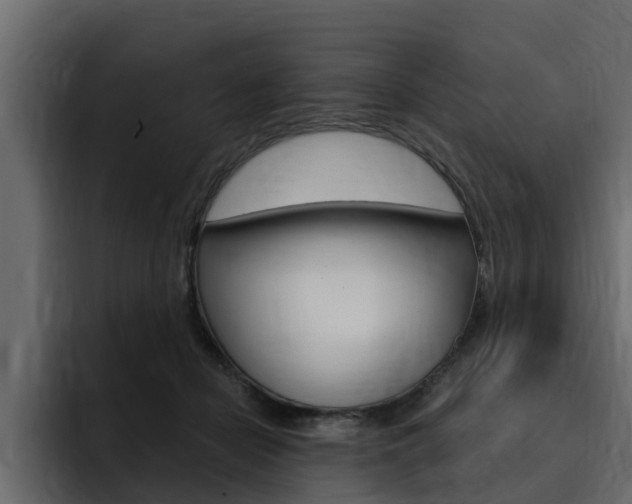 X0000095550462200712140939